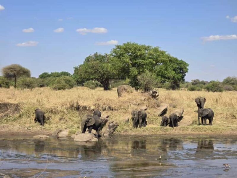 Tanzania: 6-Day Safari to Lake Manyara, Serengeti, and More - Key Points  