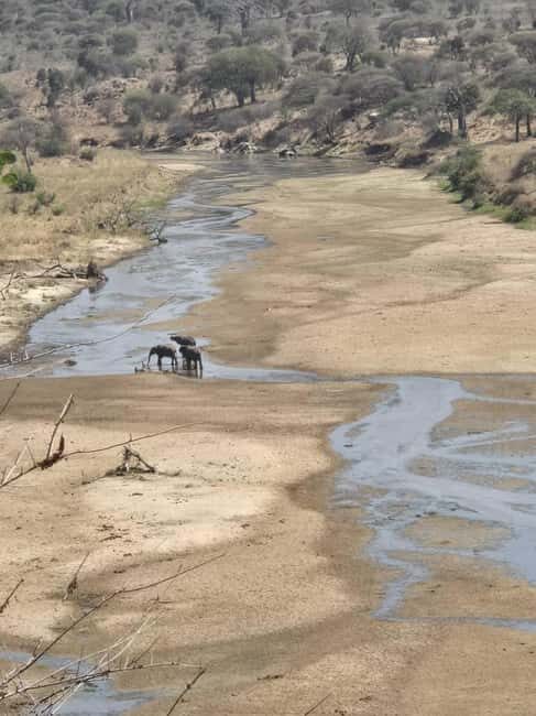 Tanzania: 6-Day Safari to Lake Manyara, Serengeti, and More - What to Expect & Practical Tips