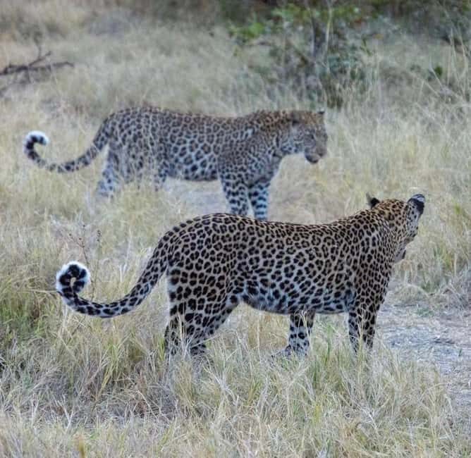 Tanzania: 6-Day Safari to Lake Manyara, Serengeti, and More - FAQ