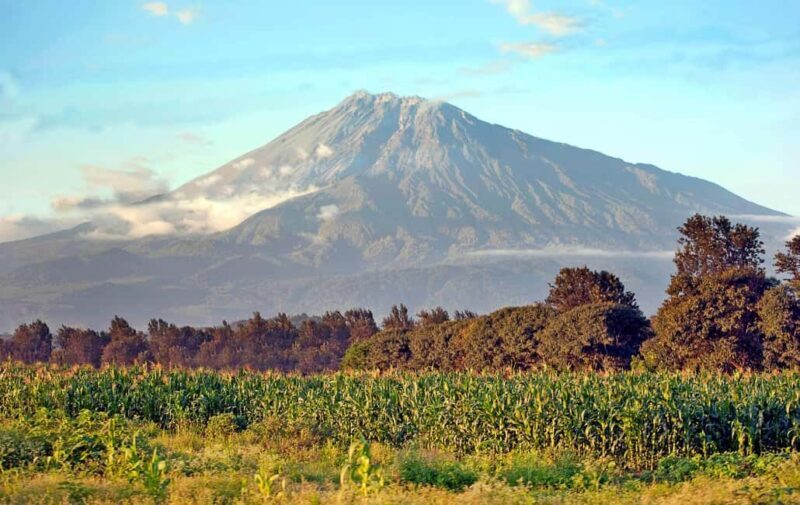 Tanzania: 6-Day Tanzania Northern Safari - Analyzing the Value