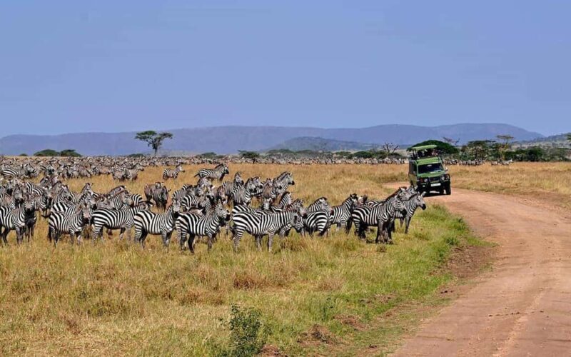 Tanzania: 6 Days Wildlife & Culture Safari Adventure - FAQs