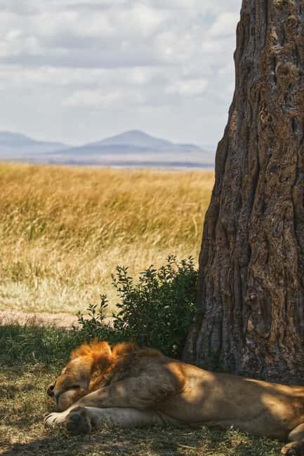 Tanzania: 7-Day Camping Safari to Serengeti & Ngorongoro - Detailed Breakdown of the Itinerary