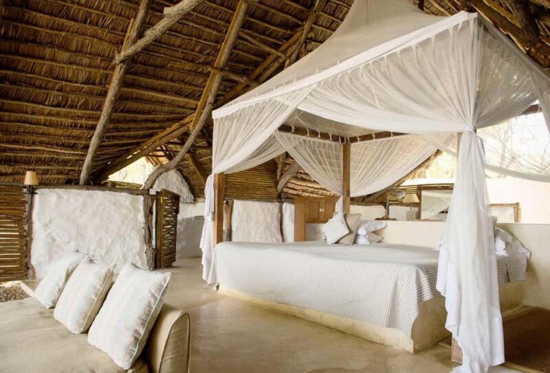 Tanzania: 7 Day Luxury Safari - Why This Tour Works Well for You