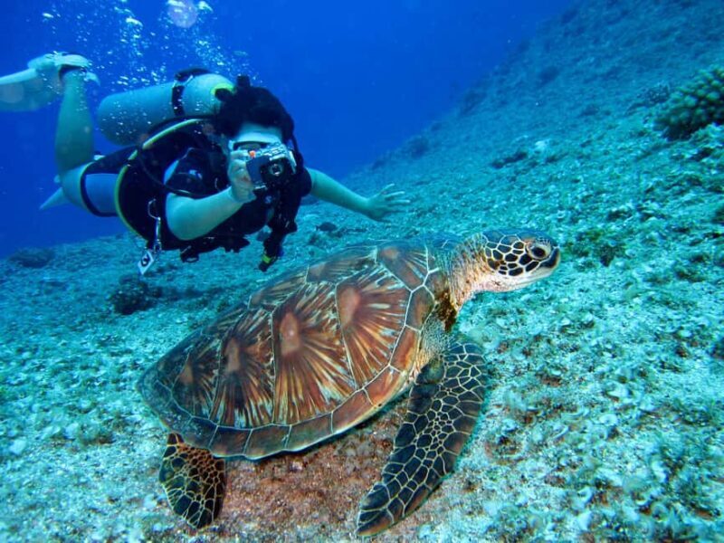 Tanzania: 7-Day Wildlife Tour and Romantic Zanzibar Island - Who This Tour Is Best For