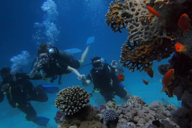Tanzania: 7-Day Wildlife Tour and Romantic Zanzibar Island - Final Thoughts