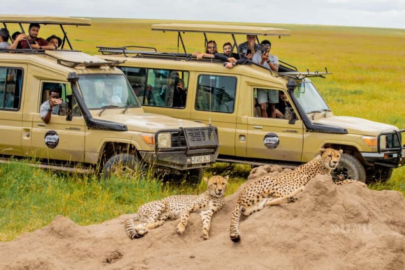 Tanzania: 8 Days Drive In Fly Out Luxury Safari - Key Points