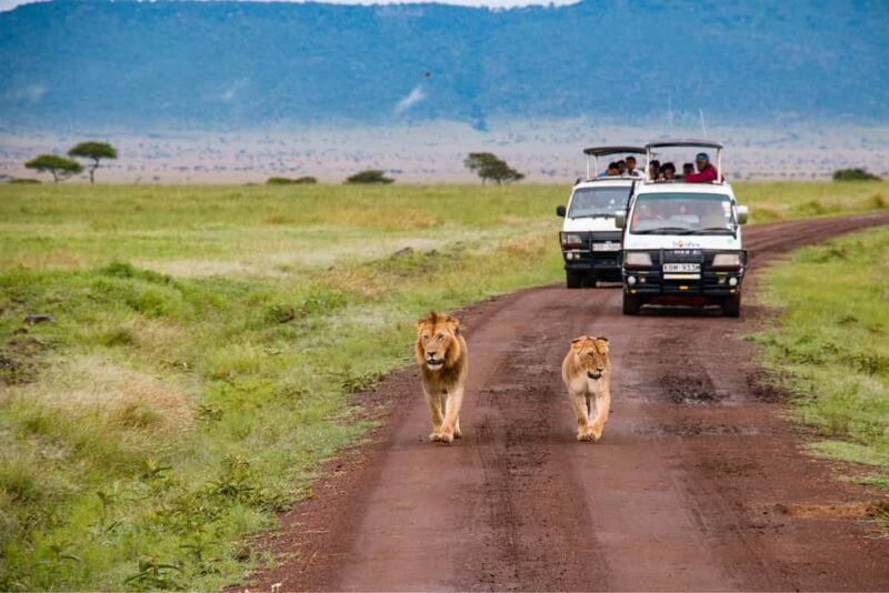 Tanzania: Arusha National Park & Ngurdoto Crater Tour - Key Points