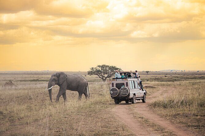 Tanzania Classic - 7 Days - An In-Depth Review of the 7-Day Tanzania Safari