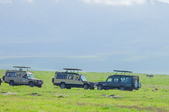 Tanzania Classic Safari 3 Days / 2 Nights - Key Points