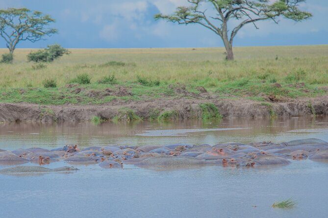 Tanzania Classic Safari 3 Days / 2 Nights - Who Would This Tour Suit Best?