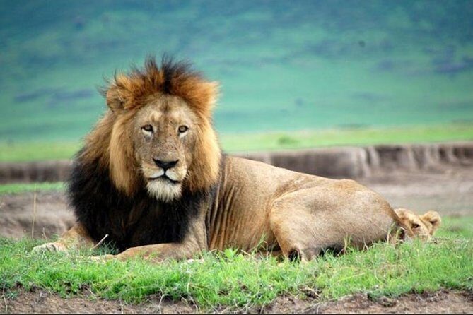 Tanzania Day Tour to Ngorongoro Crater- Lowest Price - Introduction to the Ngorongoro Crater Tour