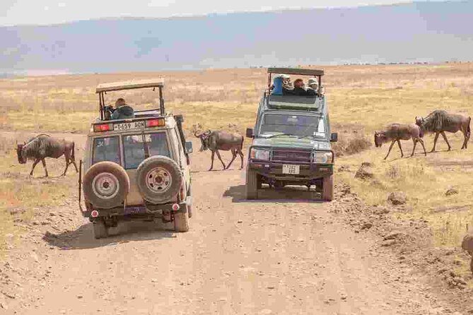 Tanzania Family Holiday; 8-Days Lodge Safari - Who Is This Safari Best For?