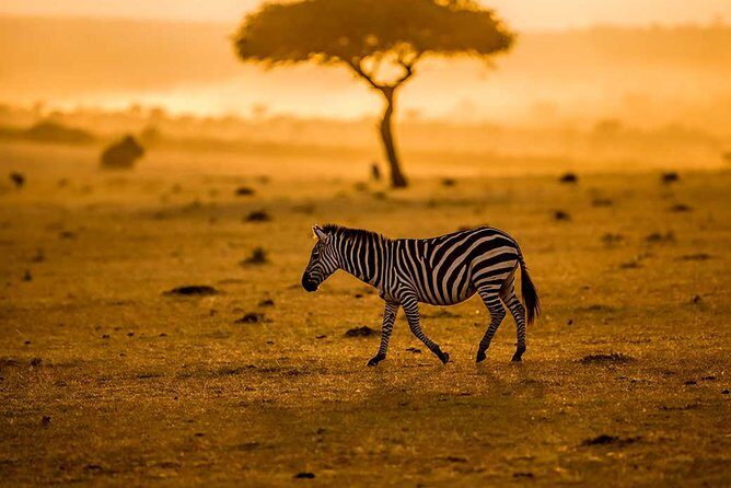 Tanzania Family Holiday; 8-Days Lodge Safari - FAQ