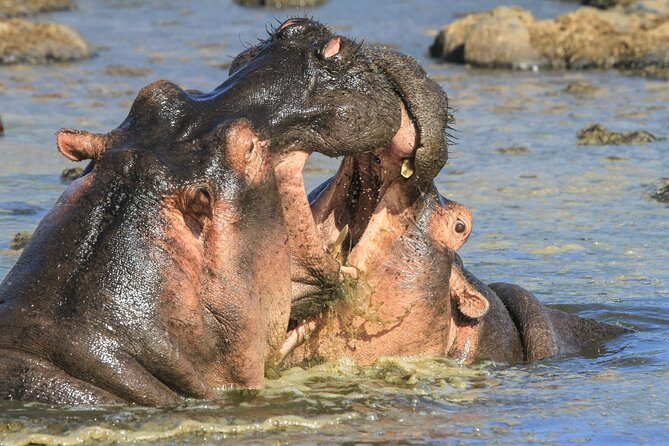 Tanzania Safari 10 Days- Serengeti, Lake Manyara, Ngorongoro Crater. - FAQs