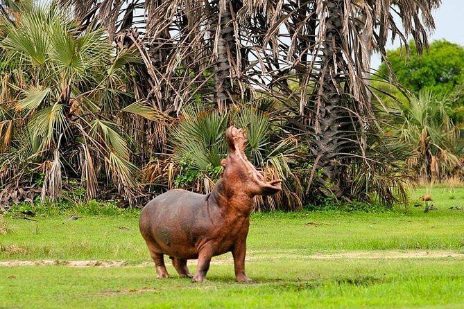 Tanzania Safari Join Group - Frequently Asked Questions