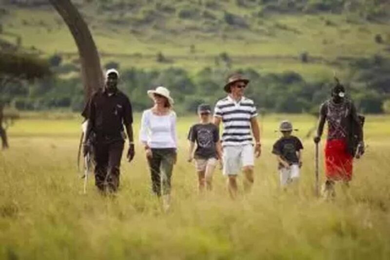 Tanzania Safari: Mikumi National Park Tour with One night - An Overview of What You Can Expect