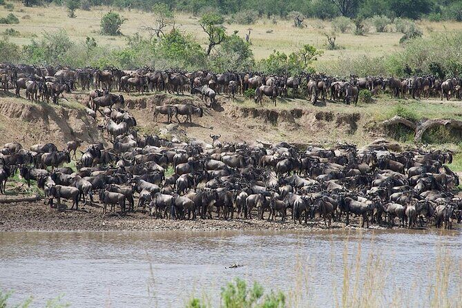 Tanzania Safari - The Great Migration in the North of the Serengeti and Lake Natron - What Makes This Tour a Great Choice?