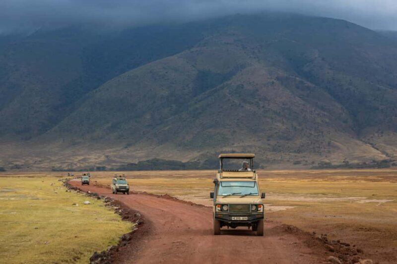 Tanzania safaris and Zanzibar beach - An In-Depth Look at the Tanzania Safari & Zanzibar Tour
