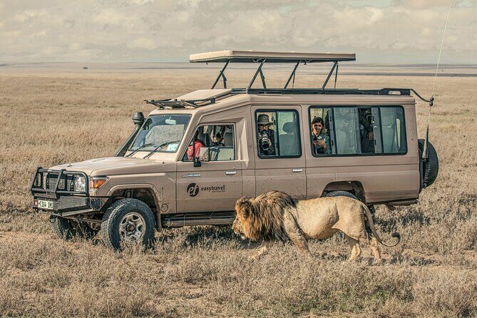 Tanzania Simba Safari - 5 Days - The Sum Up