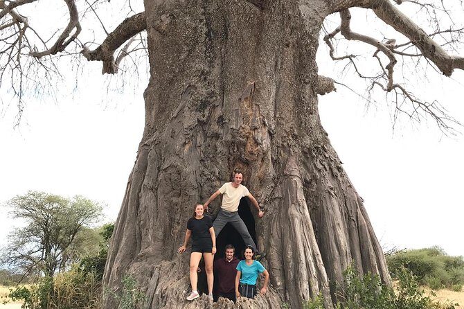 Tanzania Trip Amazing Tarangire Ngorongoro and Manyara - Authentic Experiences and Traveler Insights