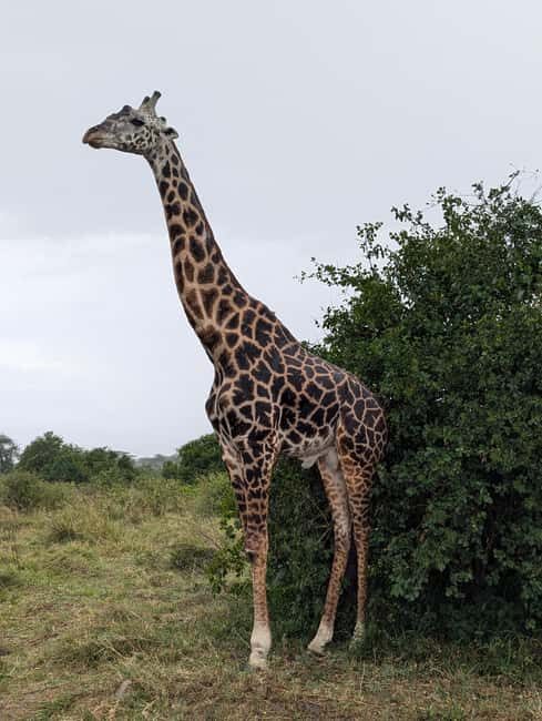 Tanzania Wild Explorer - Key Points