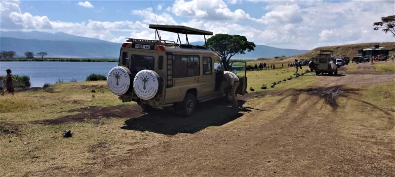 Tanzania wild safari: 2-Days Tarangire and Ngorongoro Crater - What’s Included and What to Keep in Mind