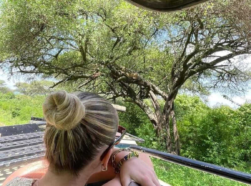 Tanzania wild safari: 2-Days Tarangire and Ngorongoro Crater - The Sum Up