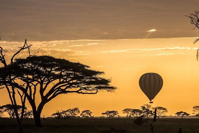 Tanzania wildlife & Cultural Safari- 11days - What Makes This Safari Stand Out?
