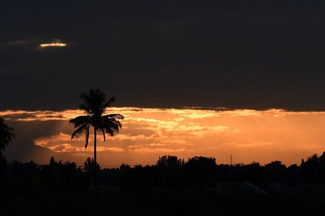 Tanzania Wildlife Cultural Safari from Arusha. - Key Points