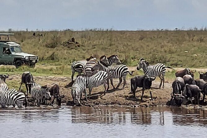 Tanzania Wildlife Safari Budget Camping - Key Points