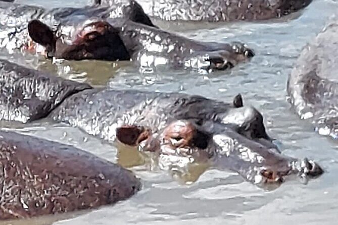 Tanzania Wildlife Safari Budget Camping - Who Should Consider This Tour?