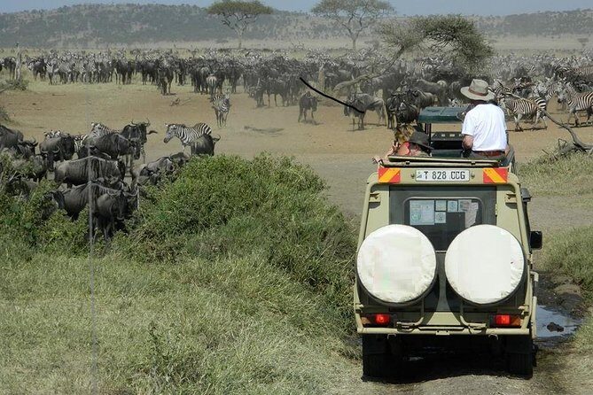 Tanzania Wildlife Safari - Tarangire | Serengeti and Ngorongoro Crater - The Itinerary: What to Expect on a 5-Day Tanzania Safari