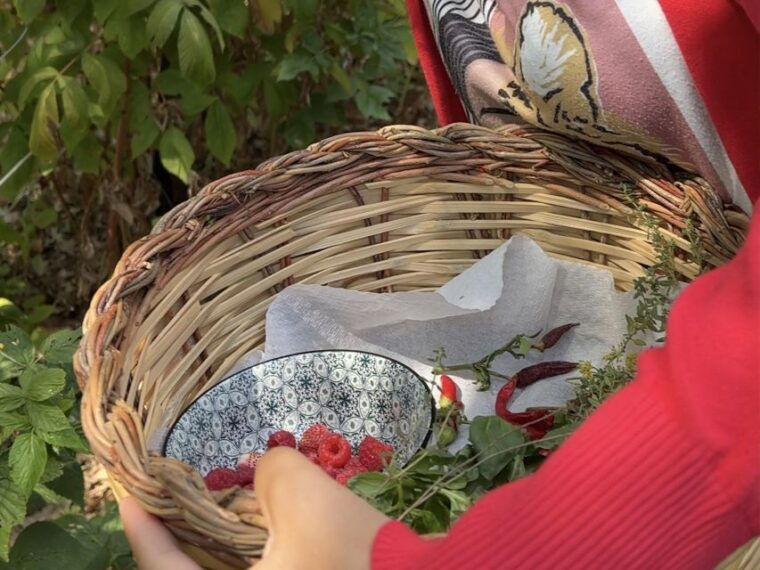 taormina-cooking-class-in-a-farm