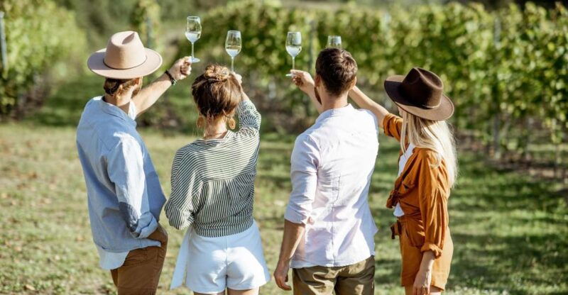 taormina-guided-etna-wine-tasting-half-day-tour