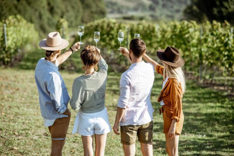 taormina-guided-etna-wine-tasting-half-day-tour