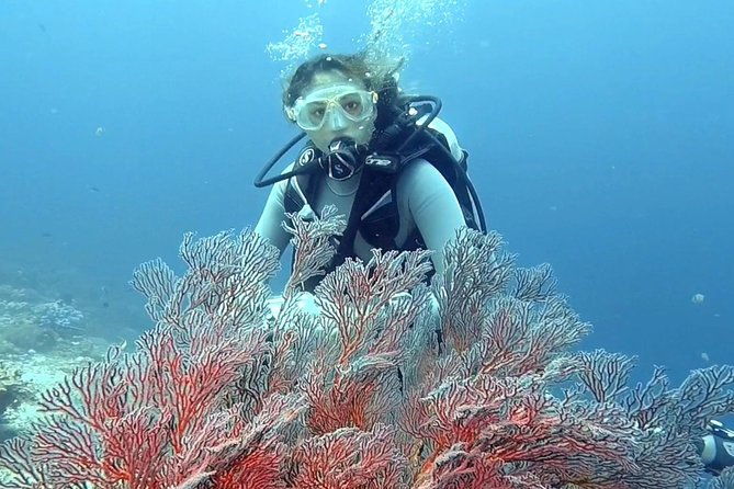 taormina-scuba-diving-experience