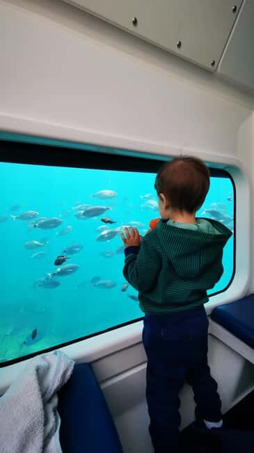 Taormina: Sea Tour in the Nemosub with Dolphin Sightings - The Sum Up