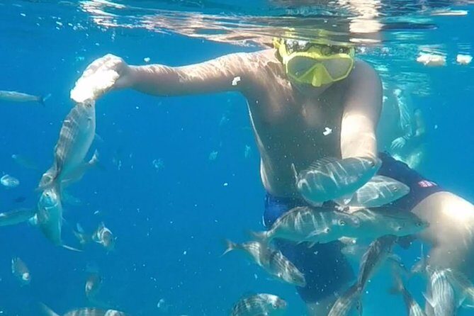 Taormina snorkeling experience - Final Thoughts: Why This Tour Stands Out