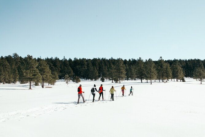 taos-backcountry-snowshoe-tour-2