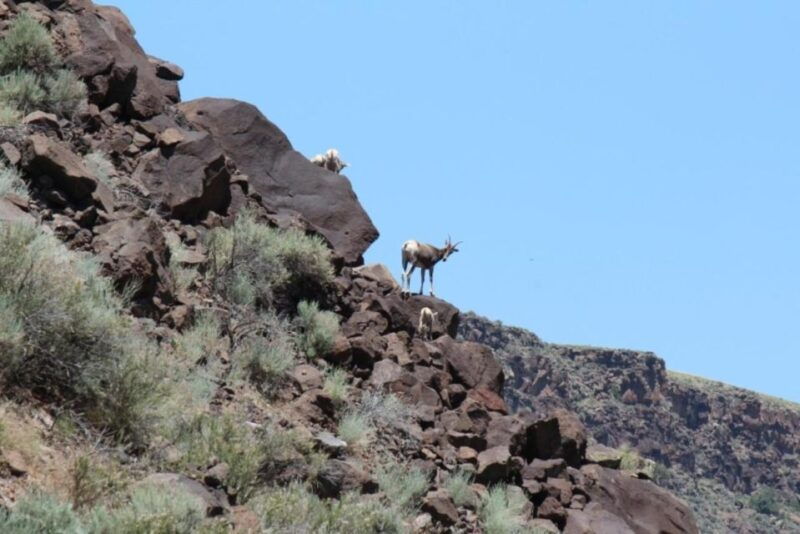 taos-santa-fe-rio-grande-class-iv-taos-box-rafting