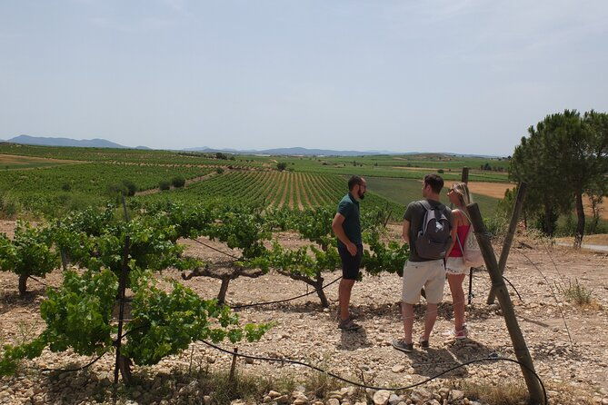 tapas-in-the-vineyards-private-tour