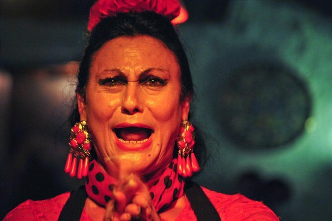 Tapas, Wine and Flamenco Private Tour - FAQs