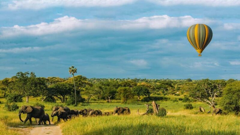 Tarangire: Balloon Safari and Bush Breakfast - A Closer Look at the Tarangire Balloon Safari