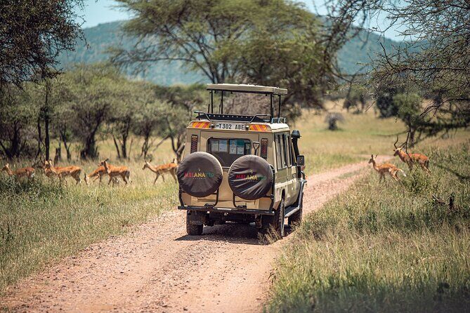 Tarangire National Park and Maasai Village Safari Tour - Authentic Encounters and Guide Expertise