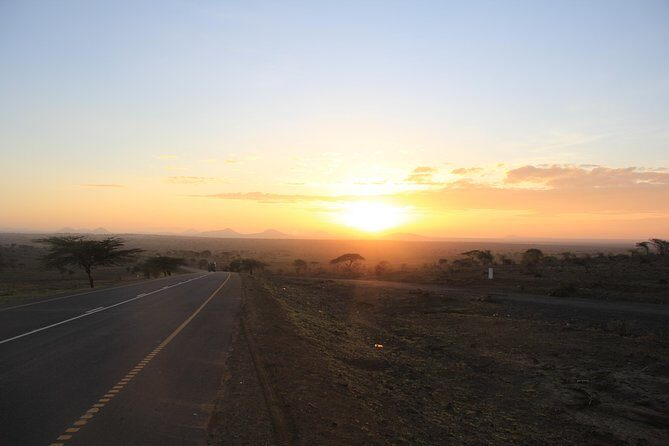 Tarangire National Park - The Itinerary Breakdown: What You Can Expect