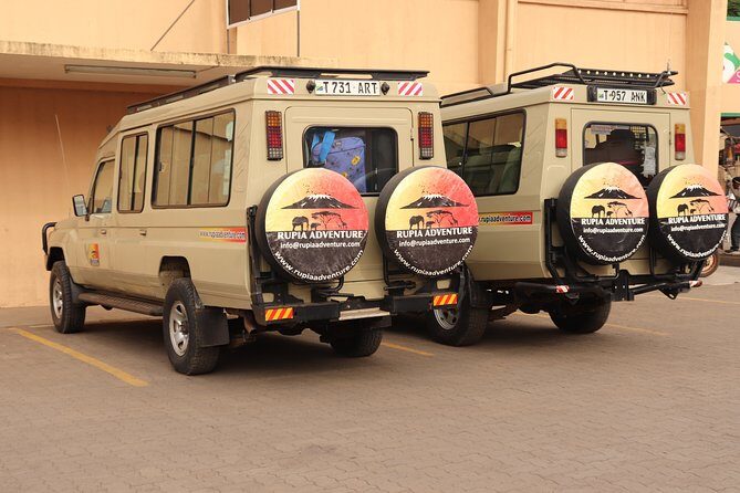 Tarangire National Park Day Trip - The Sum Up: Is the Tarangire Day Trip Worth It?