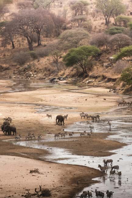 Tarangire National Park Day Trip - Additional Practical Details