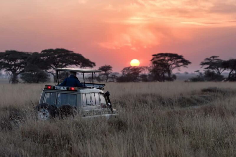 Tarangire National Park Day Trip - Who Should Consider This Tour?