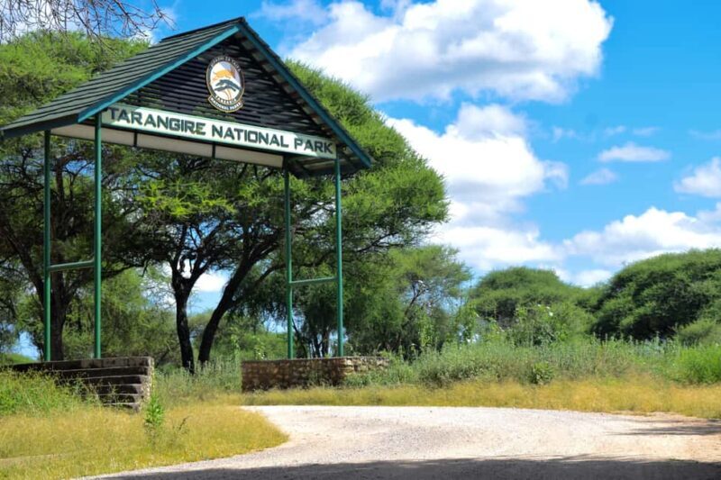 Tarangire Natl Park & Lake Eyasi (Datoga & Hadzabe Villages) - An In-Depth Look at the Experience