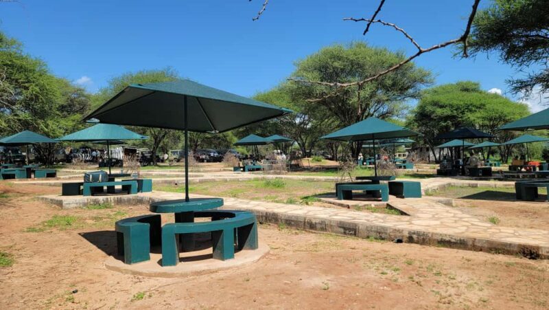 Tarangire & Ngorongoro Crater: 2-Day Shared Safari Adventure - Key Points